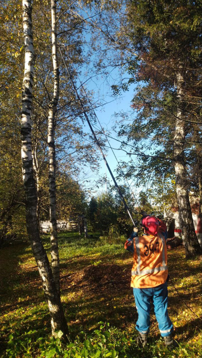 Новое приспособление облегчит энергетикам работу по расчистке полосы отвода